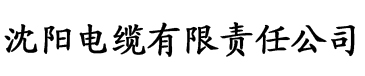 在线观看污污网站电缆厂logo